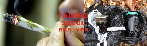 гашик Магас