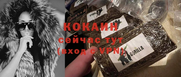 гашик Магас