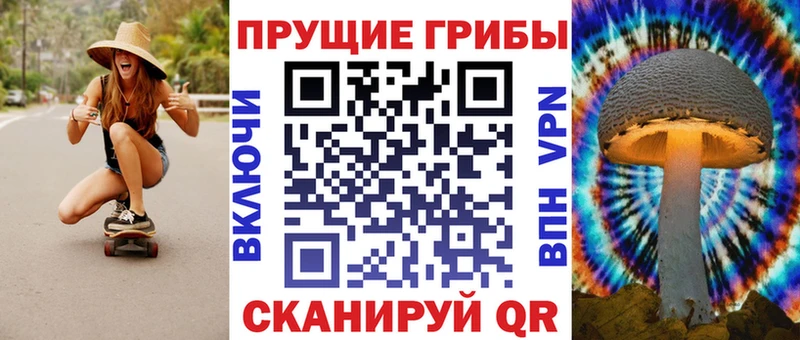 Псилоцибиновые грибы Cubensis дарнет шоп OMG сайт Долгопрудный
