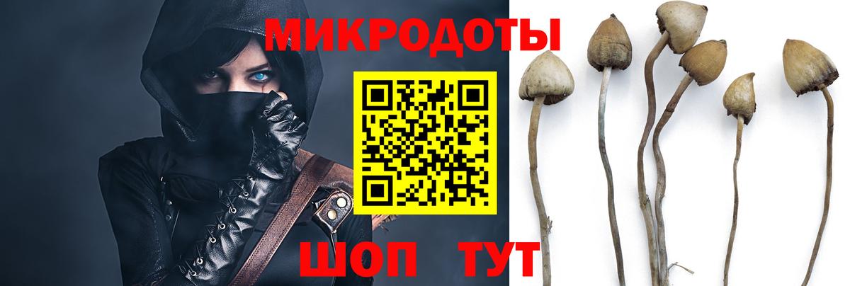 Долгопрудный  Псилоцибиновые грибы MAGIC MUSHROOMS  Вход с VPN  Псилоцибиновые грибы мицелий 